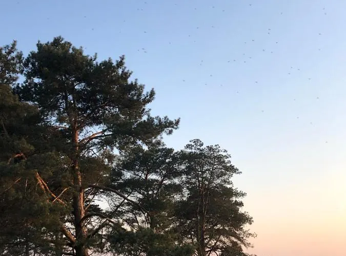 Modern One Bedroom Flat With Sunset Views, Self Check-in